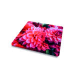 posavasos